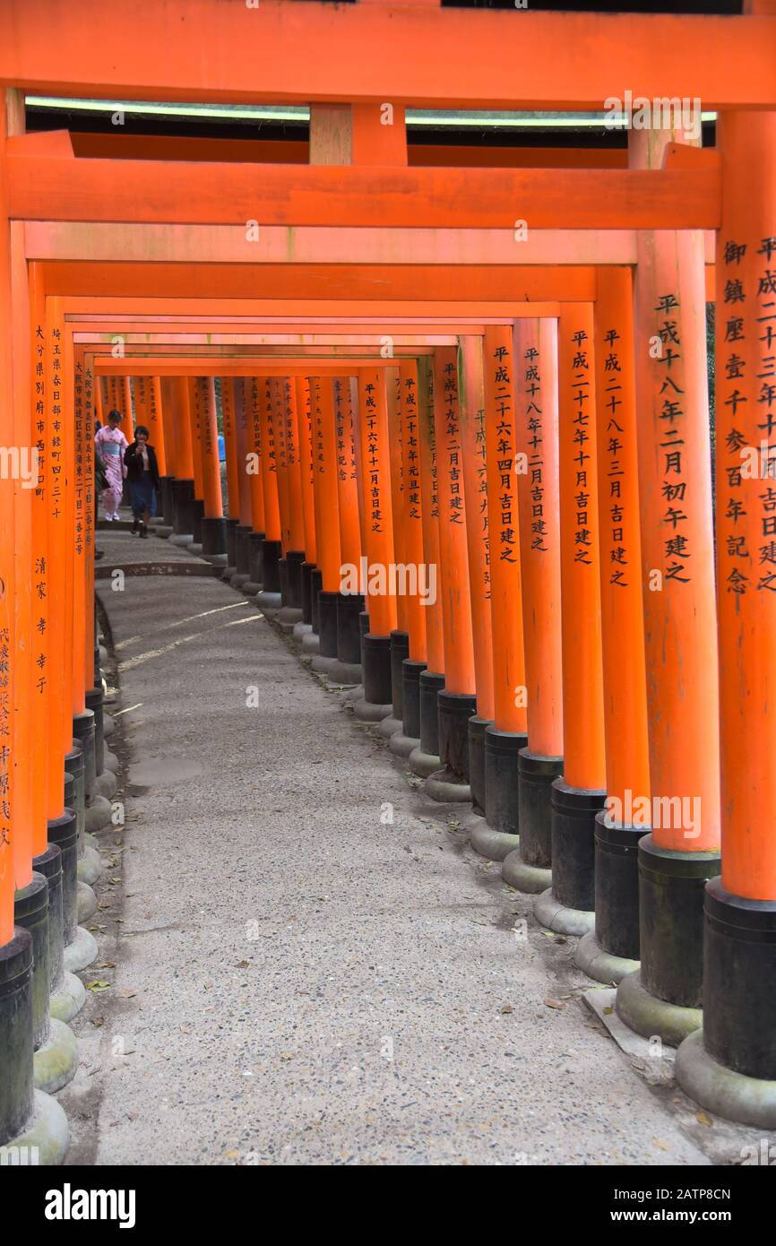 Blick auf den Fushimi Inari Grand Shrine Stockfoto