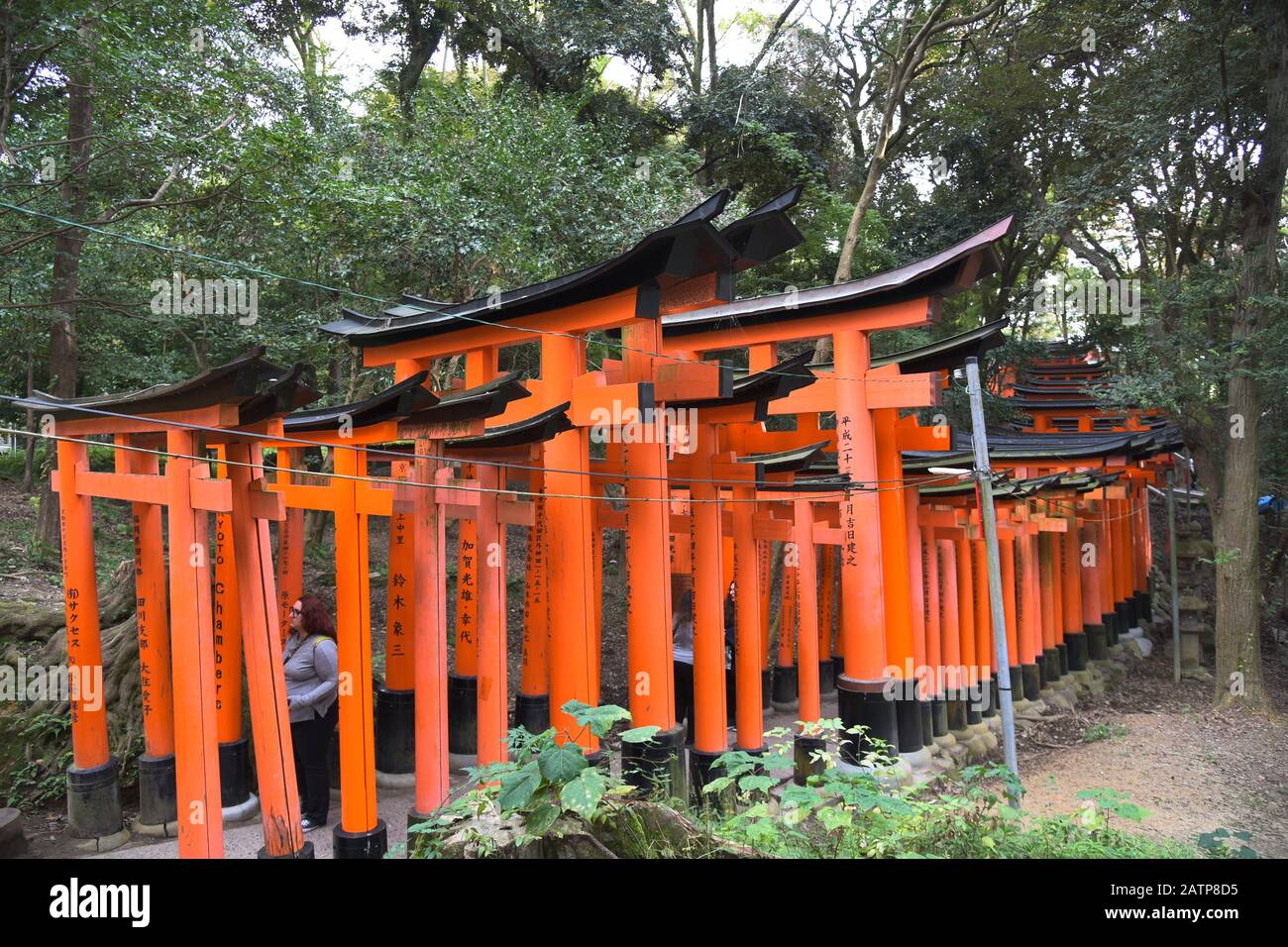 Blick auf den Fushimi Inari Grand Shrine Stockfoto