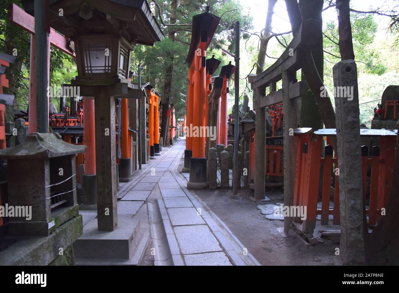 Blick auf den Fushimi Inari Grand Shrine Stockfoto