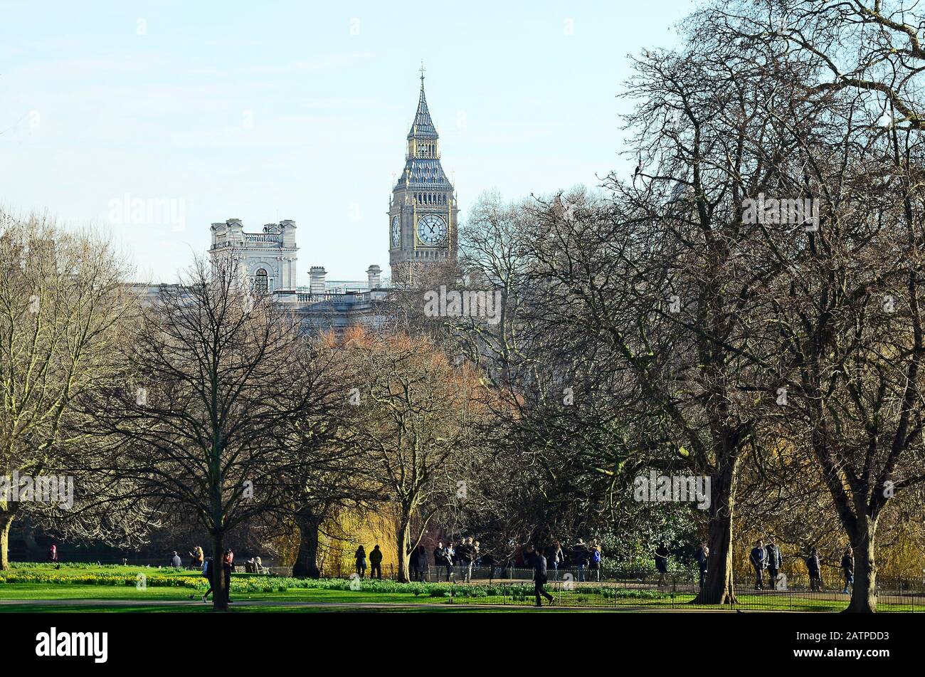 London, Großbritannien - 19. Januar 2016: Unidentifizierte Menschen im Green Park und Big Ben dahinter Stockfoto