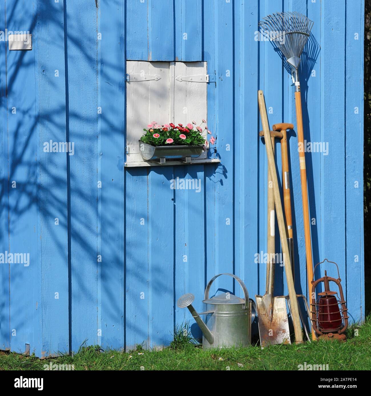 Blauer Schuppen mit Gartenwerkzeugen Stockfoto