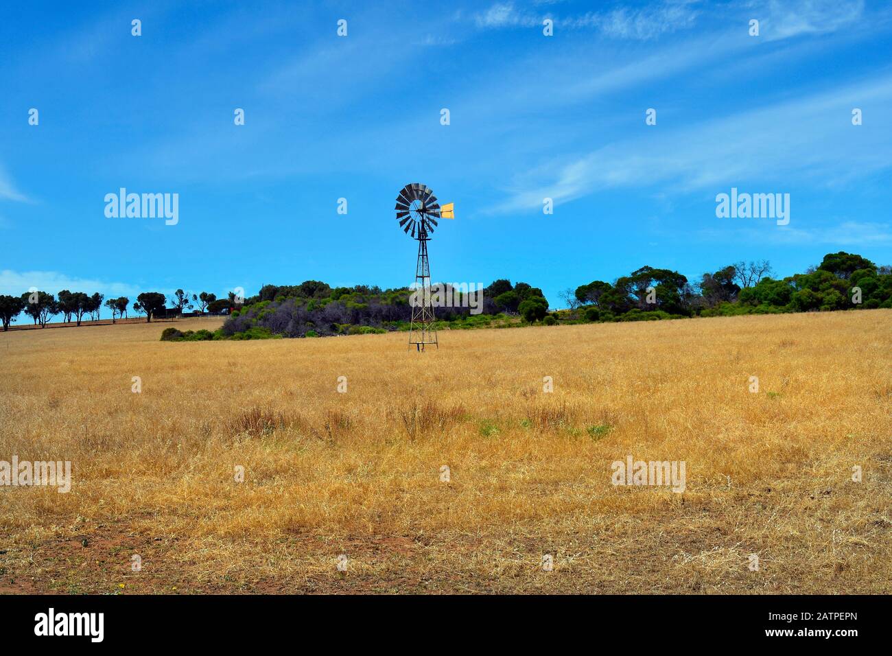 Australien, Feld mit Windrad in Western Australia Stockfoto