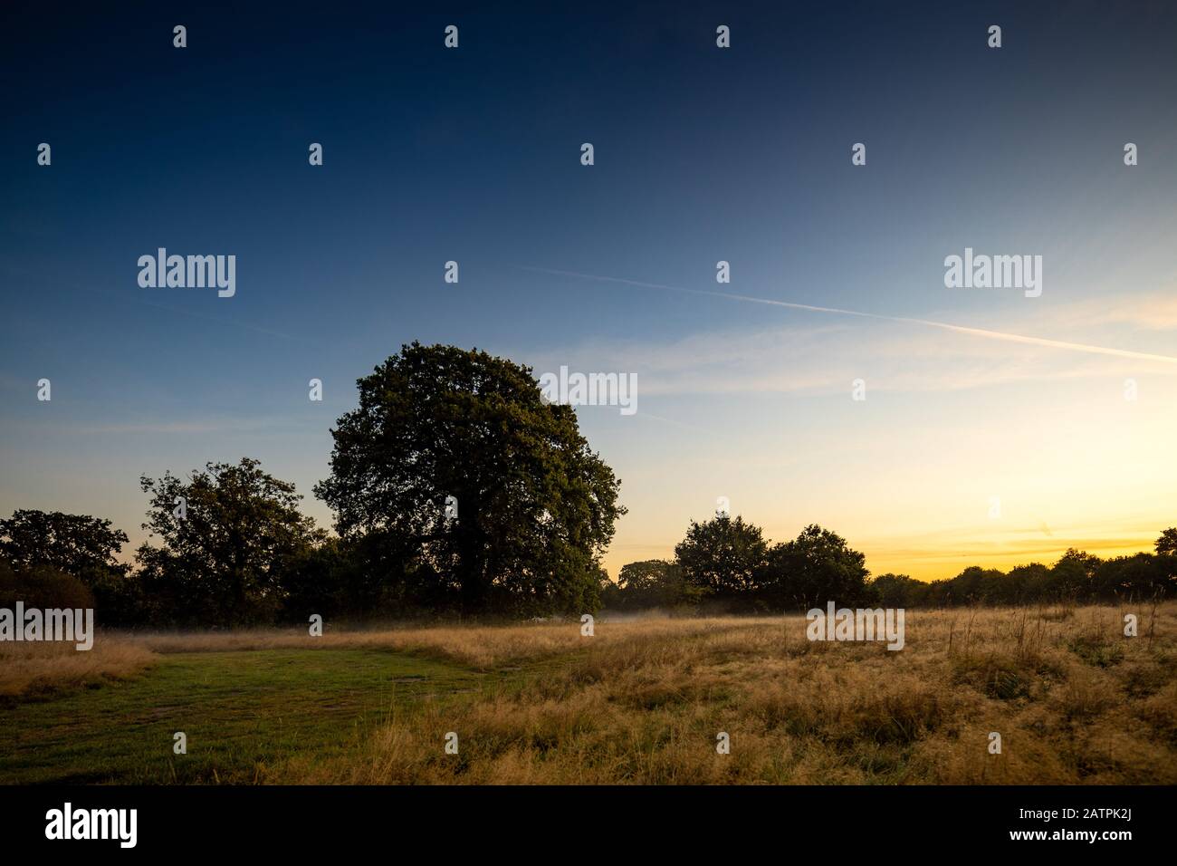 Reading & Woking Location Shoot, England Großbritannien Stockfoto