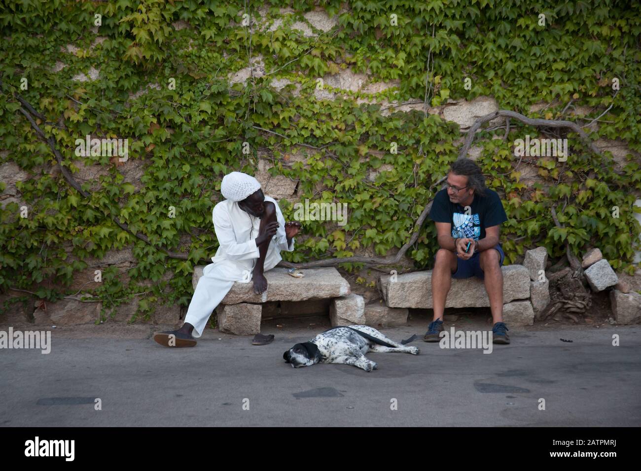 Zwei Männer saßen auf einer Bank, die mit einem Hund zwischen ihnen plauderten Stockfoto