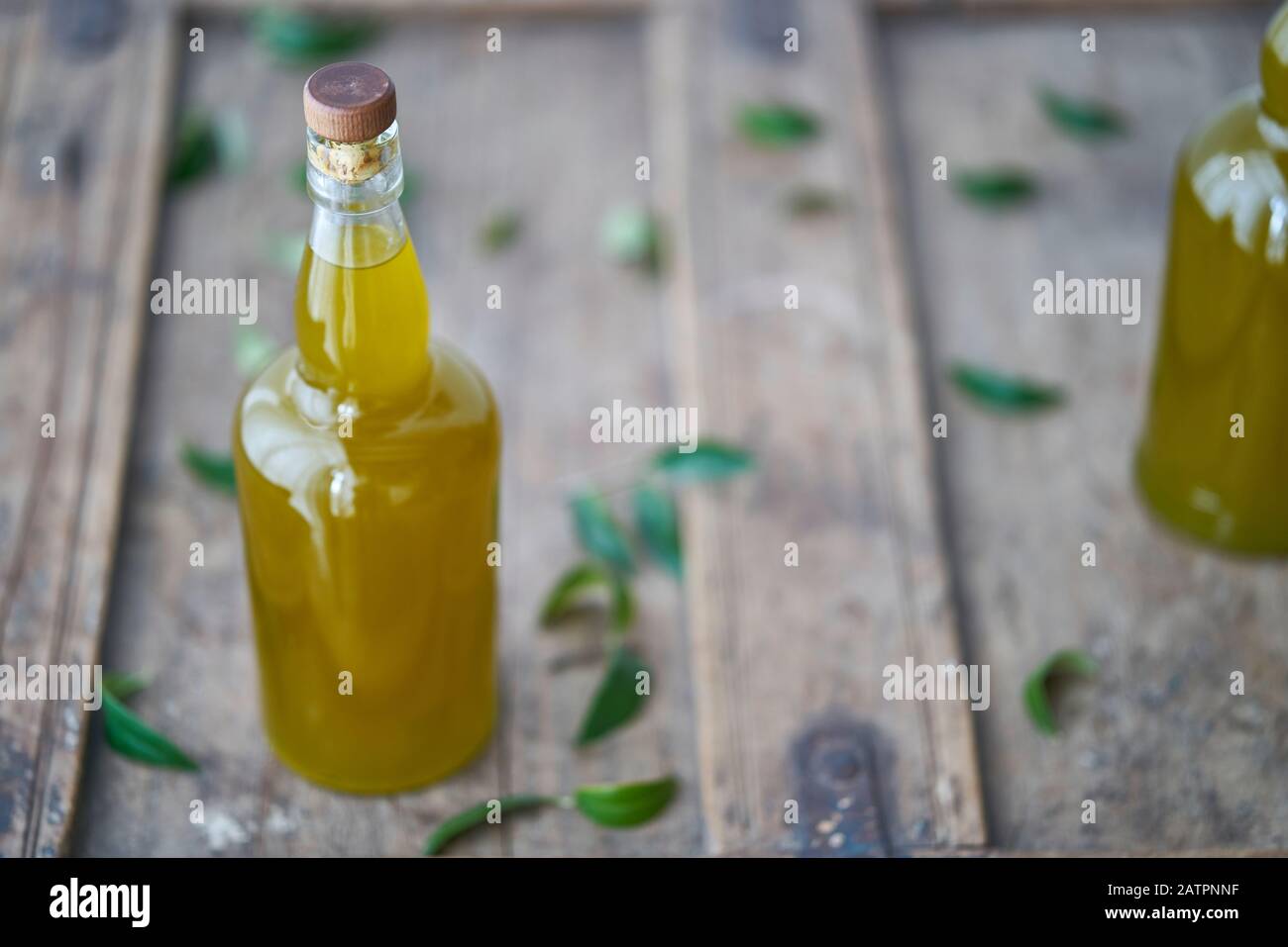 Flasche auf einem Holztisch mit Speiseöl, das goldgelb schimmert und von grünen Olivenblättern umgeben ist. Gourmet-Küche im Restaurant Enj Stockfoto