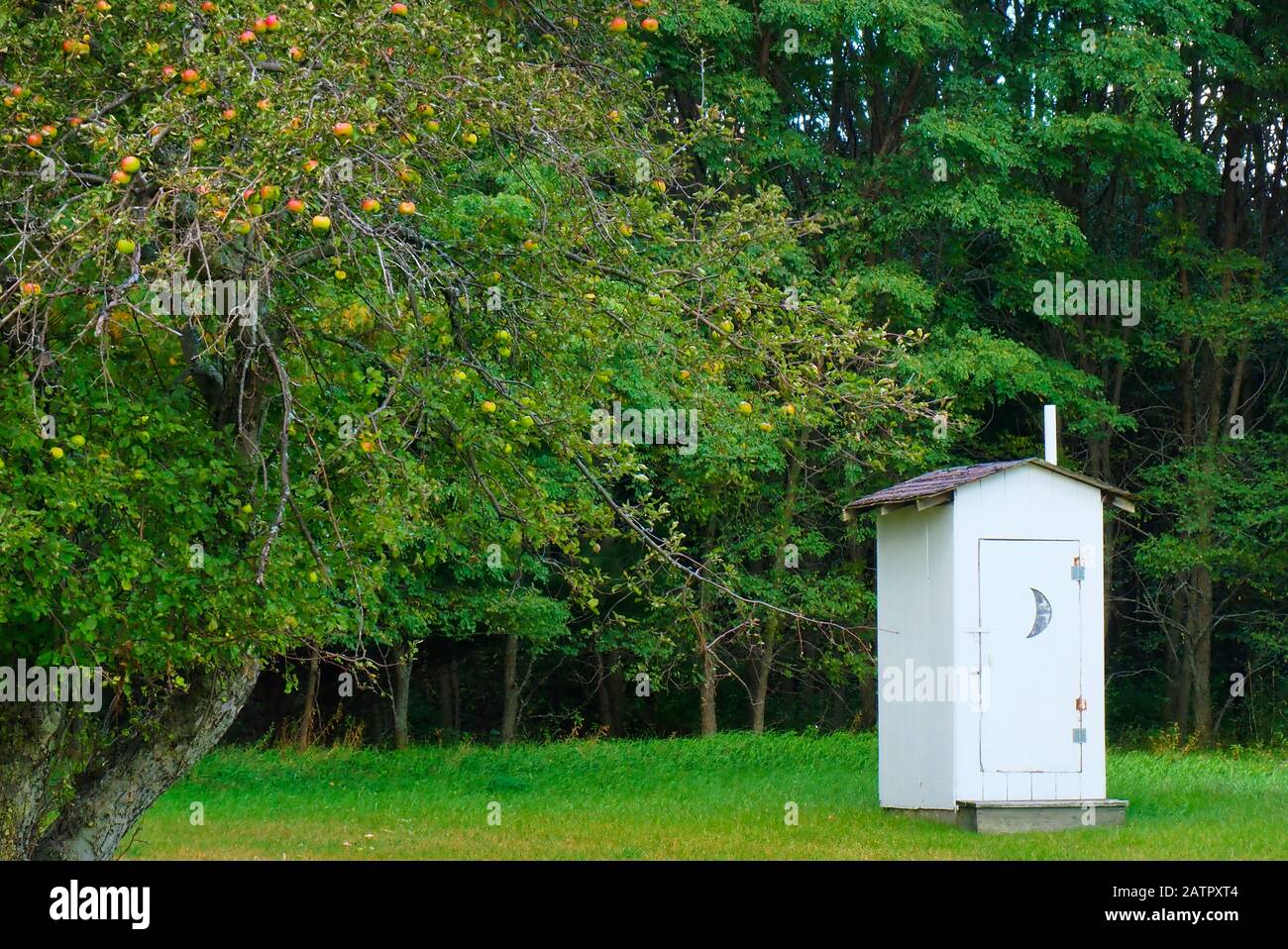 Oneida Schoolhouse Outhouse, Sleeping Bear Dunes National Lakeshore, Empire, Michigan, USA Stockfoto