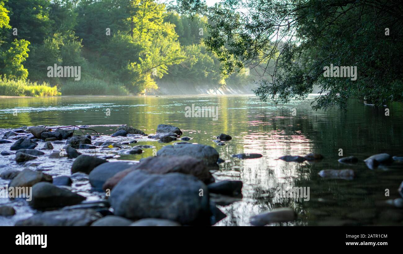 Ruhiger Flusslauf, Baumzweige über den Fluss, Flusssteine im Vorderteil, Sommerhitze, Nebel über Wasser, schöne Flusslandschaft. Stockfoto