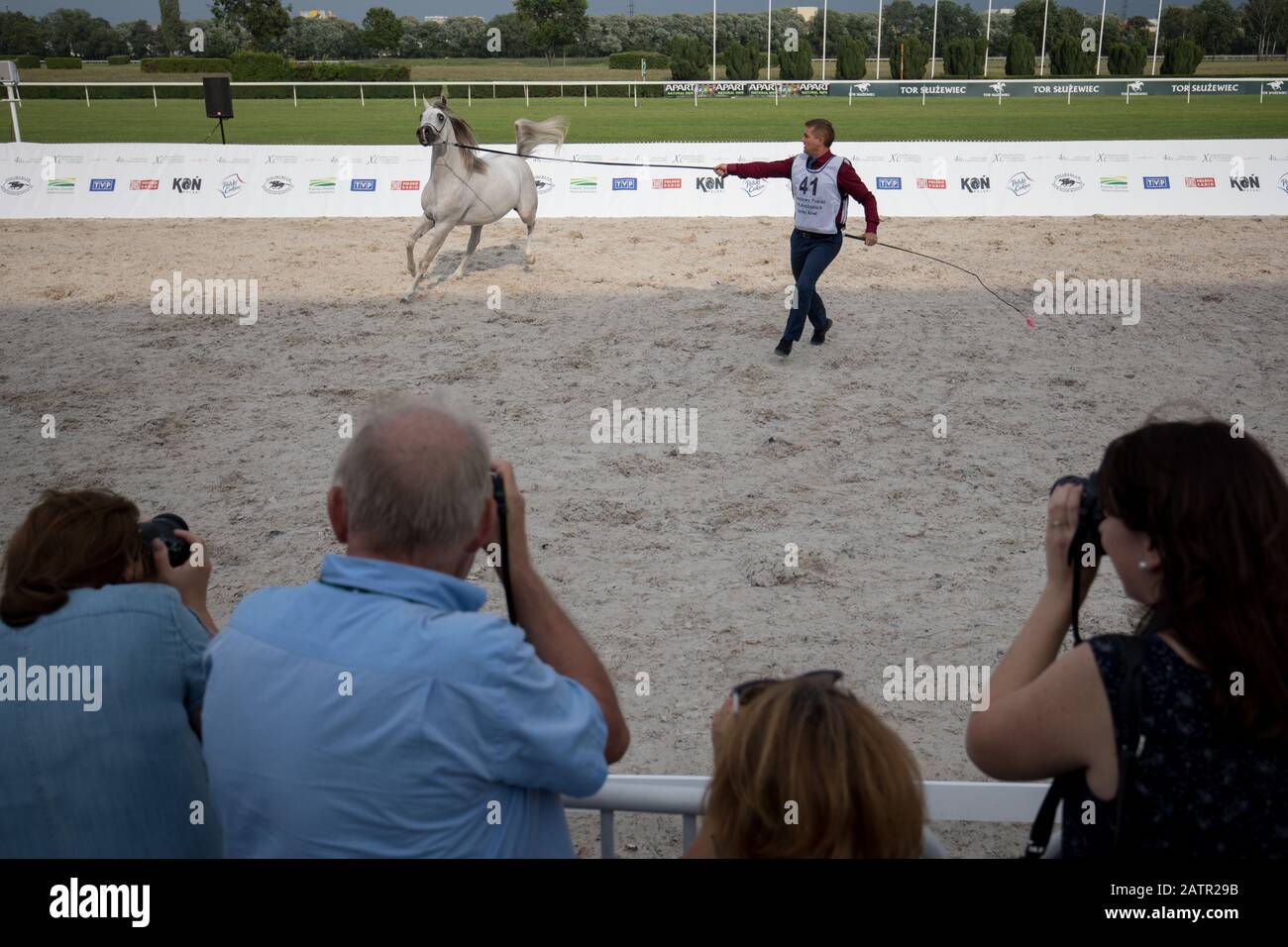 Polen, Warschau - 10. August 2018: 40. Nationalausstellung arabischer Pferde Aus Reinem Blut, Rennstrecke auf Sluzewiec Stockfoto
