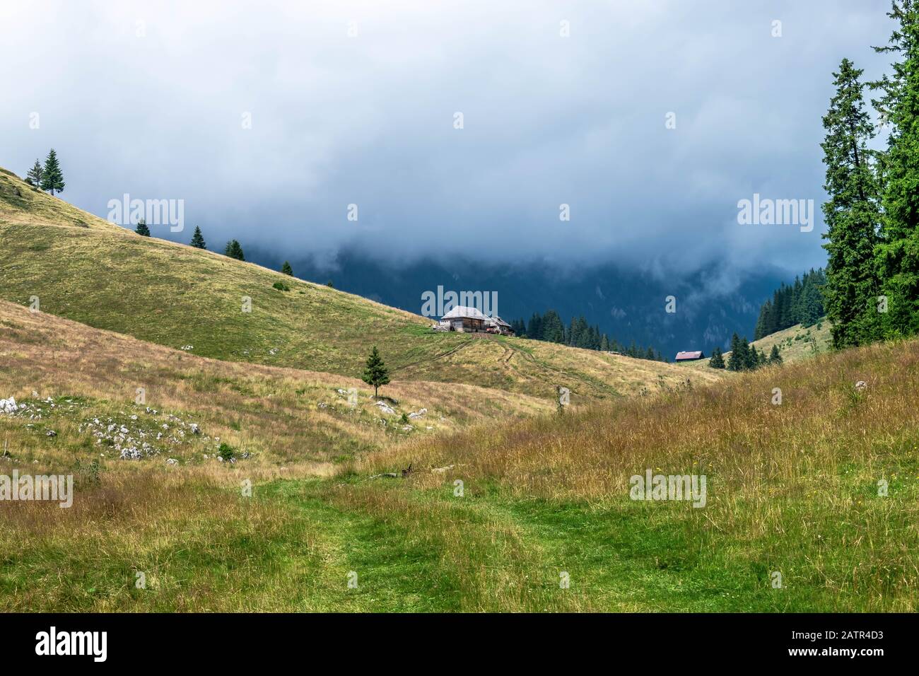 Saua Joaca, Piatra Craiului, Rumänien - Schöne Berg- und Hügellandschaft. Stockfoto