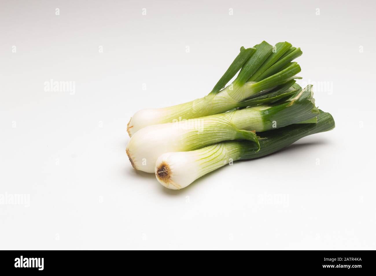 Stillleben auf weißem Hintergrund und Studiofoto zart Zwiebel; Zarte Zwiebel auf weißem Hintergrund und weiche Beleuchtung. Stockfoto