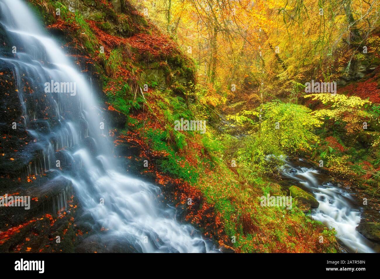 The Birks of Aberfeldy, Aberfeldy, Perthshire, Schottland Stockfoto