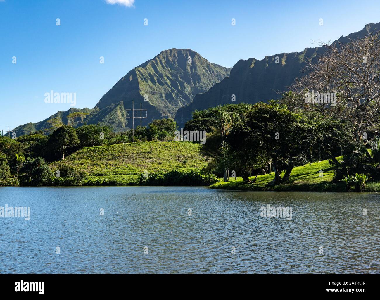 Über dem Botanischen Garten Ho'omaluhia in Oahu erhebt sich ein steiler, von Bäumen bedeckter Bergrücken Stockfoto