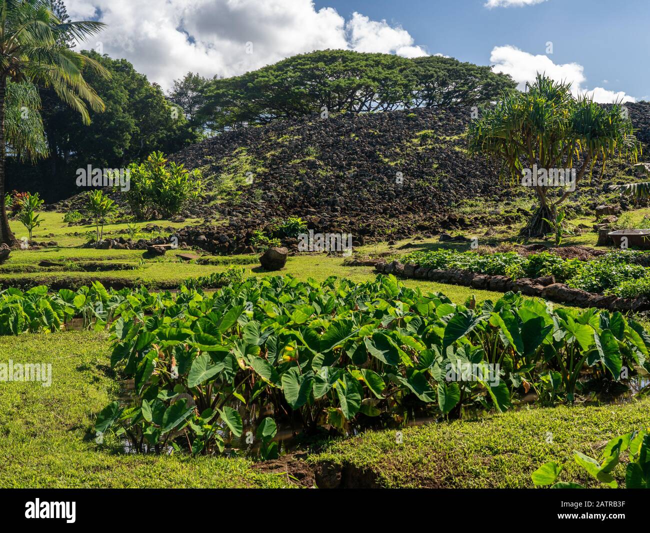 Ulupo Heiau historische religiöse Stätte in hawaii in der Nähe von Kailua auf Oahu Stockfoto