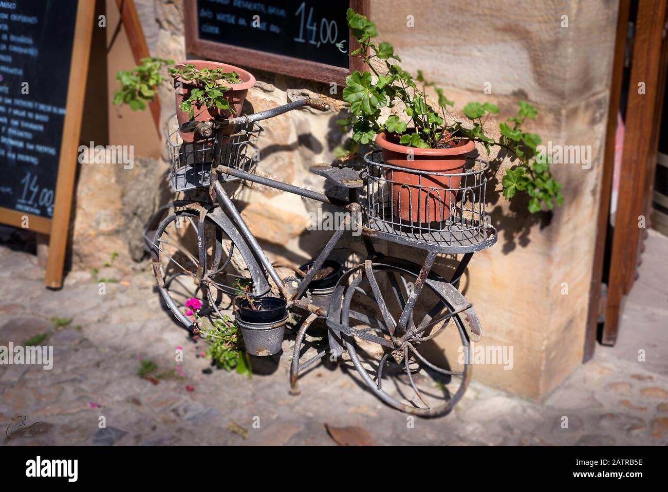 Retro Fahrrad mit Strauß Blumen stehen auf der Straße Stockfotografie -  Alamy