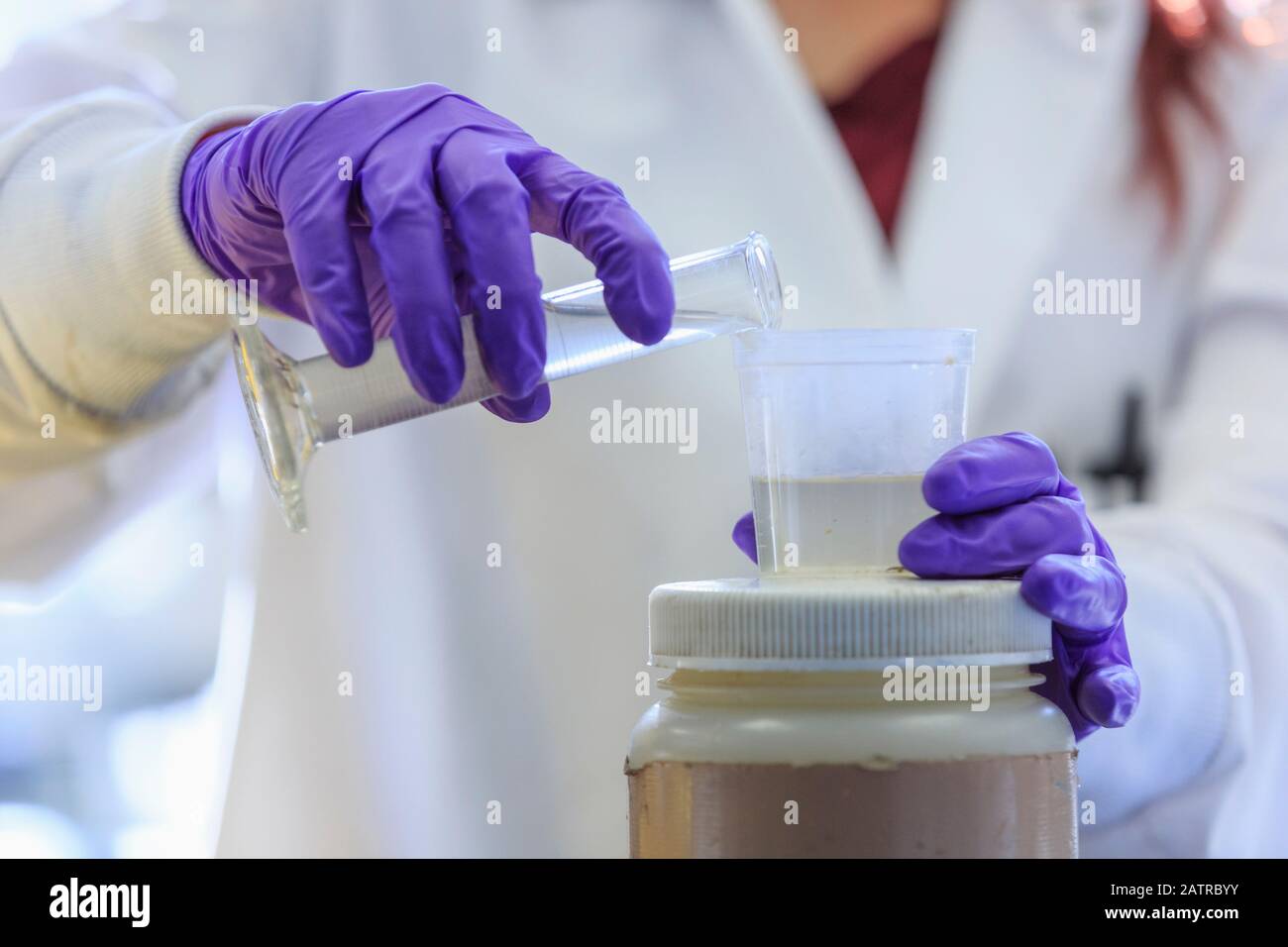 Ein Wissenschaftler trägt lila Handschuhe und gießt eine Lösung hinein Ein Container Stockfoto