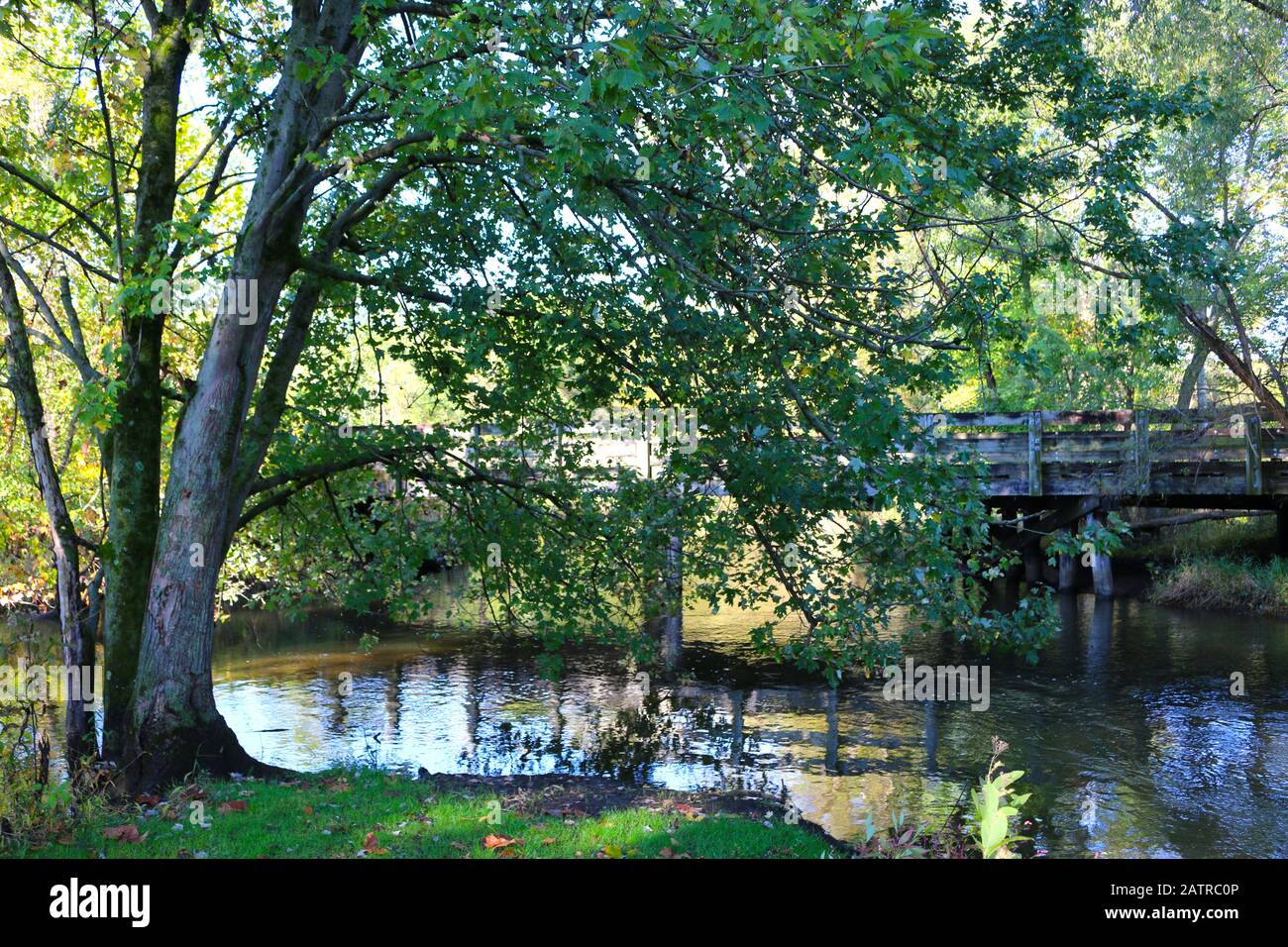 Eine Holzbrücke über ein bewaldetes Flussufer Stockfoto