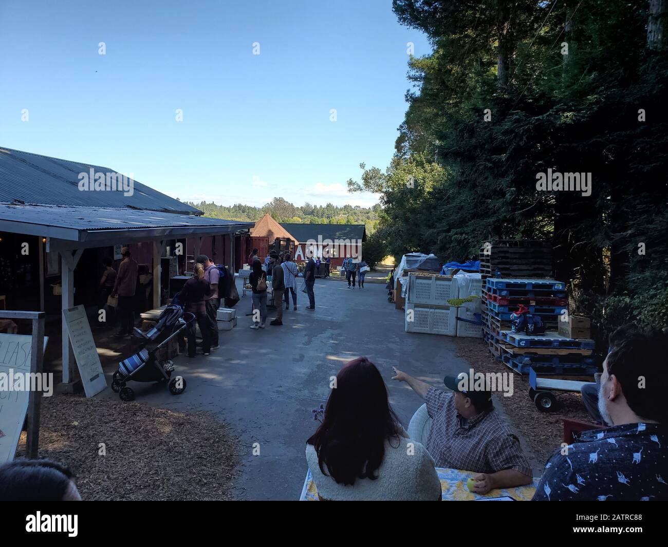 Foto von Gabriel Farm, ein Punkt von Interesse in Sebastopol, Kalifornien, USA, Außenansicht Stockfoto