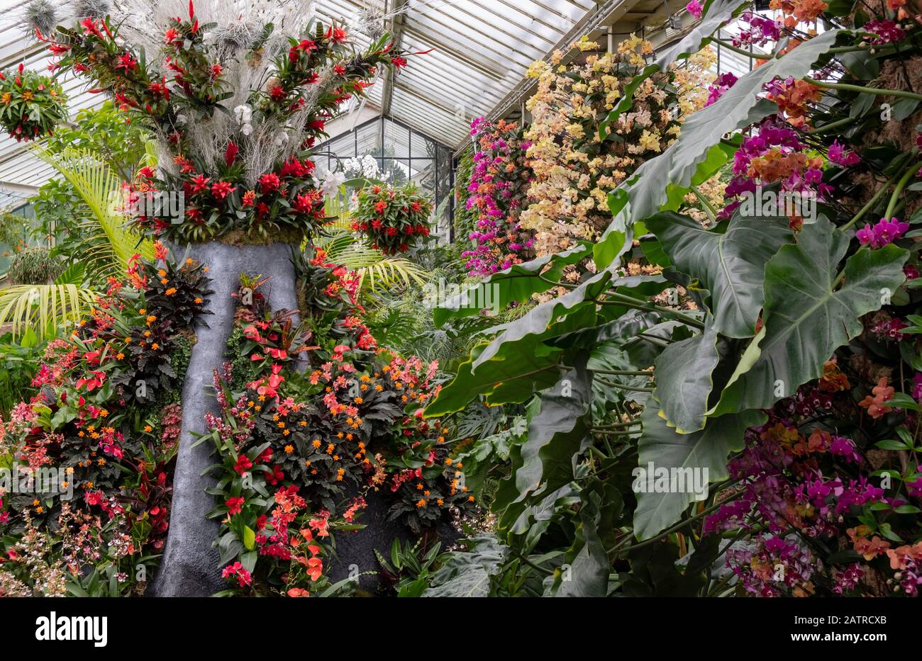 Eine Darstellung tropischer Blumen in Form eines indonesischen Vulkans beim Kew Orchid Festival 2020: Indonesien Stockfoto