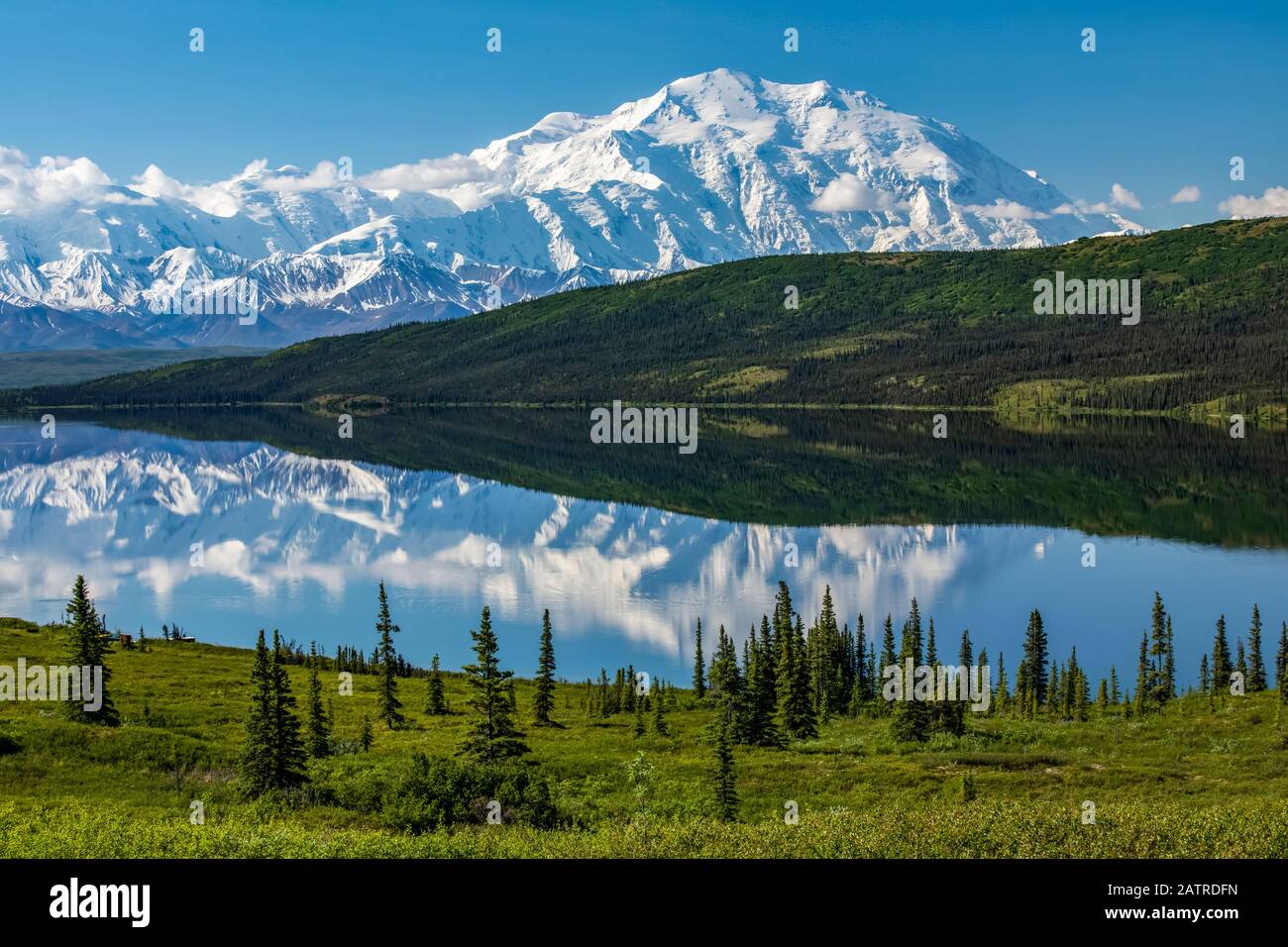 Blick auf Denali und seine Spiegelung in Wonder Lake von der Parkstraße, Denali National Park und Preserve; Alaska, Vereinigte Staaten von Amerika Stockfoto