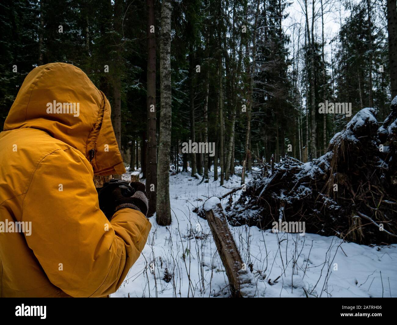 Mann in einer hellgelben Jacke. Naturwald. Stockfoto