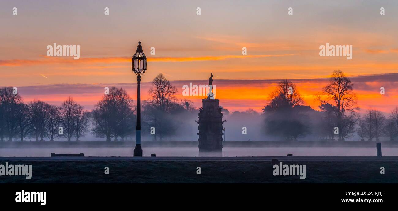 Bushey Park an einem nebligen Morgen während eines dramatischen Sonnenaufgangs; London, England Stockfoto