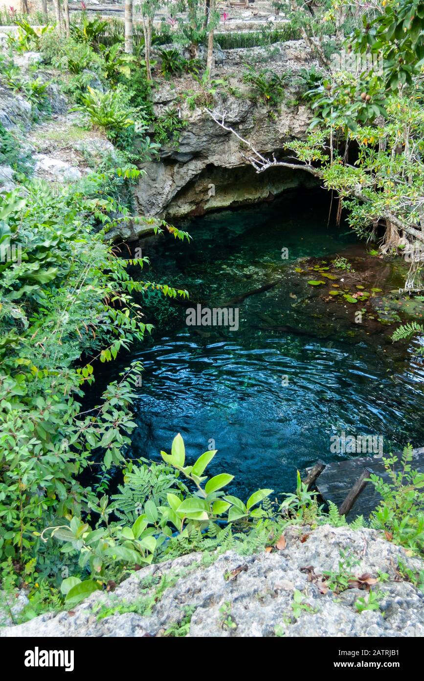 Die Gran Cenote in der Nähe von Tulum, Quintana Roo, Mexiko. Stockfoto