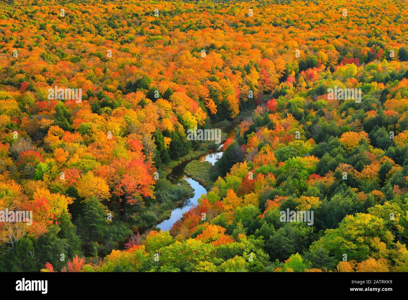 Big Carp River, Escarpment Trail, Lake of the Clouds, Porcupine Mountains Wilderness State Park, Ontonagon, Michigan, USA Stockfoto