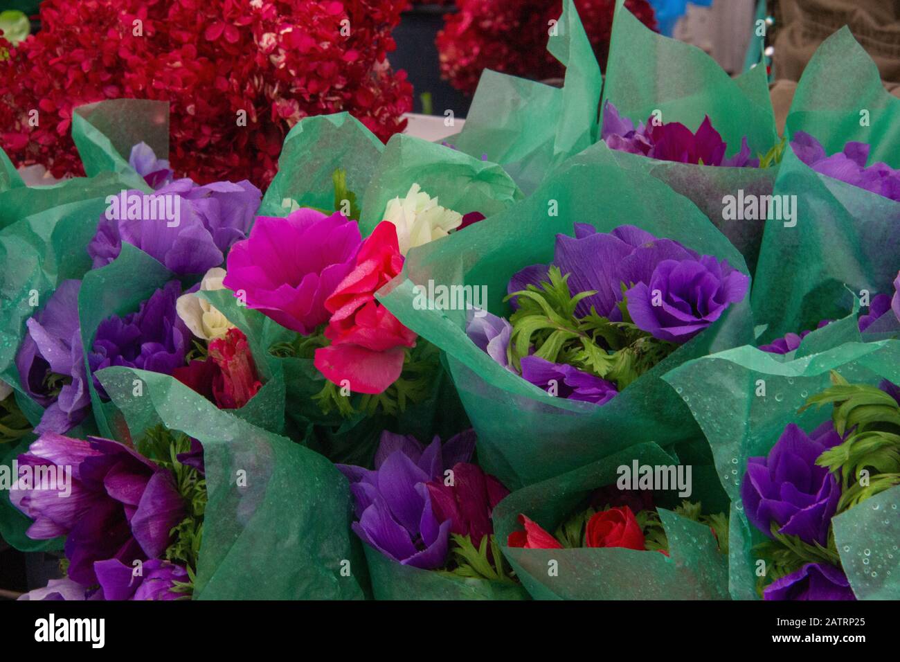 Blumen im Blumenmarkt von New York City Stockfoto