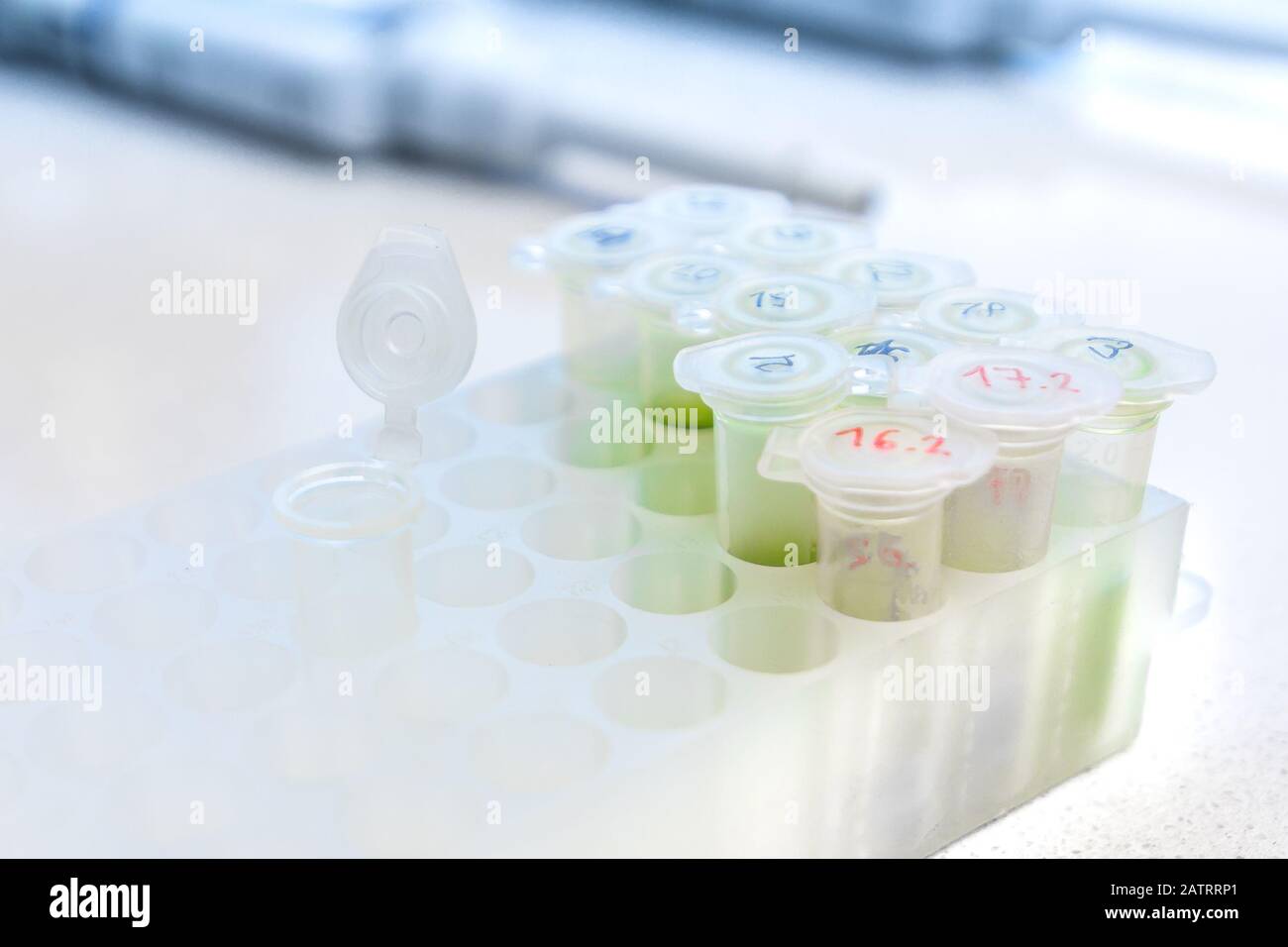 Mikroröhrenregal auf der Arbeitsfläche im wissenschaftlichen Labor. Chemische Geräte befinden sich auf weißem Hintergrund. Klinische Konzeptdarstellung. Stockfoto