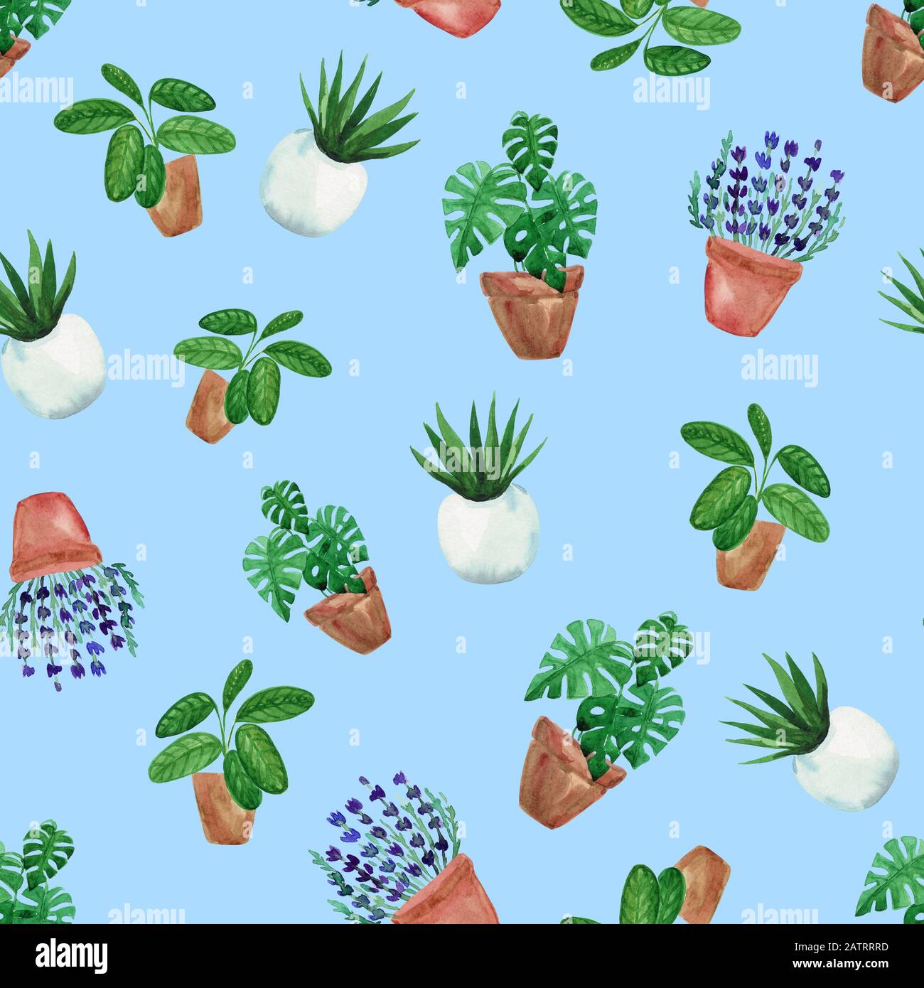 Aquarell handbemalte hausgrüne Pflanzen in Blumentöpfen. Nahtloses Muster aus Blumenelementen auf blauem Hintergrund. Stockfoto