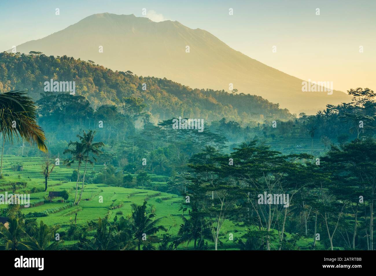 Sonnenaufgang auf der Sideman Rice Terraces; Bali, Indonesien Stockfoto