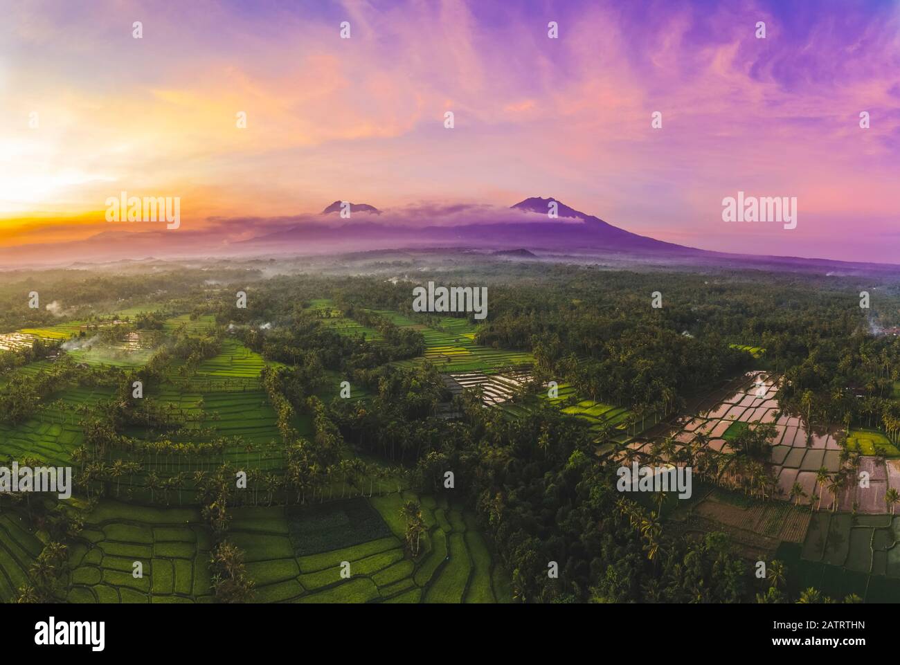 Sonnenuntergang auf den Licin Rice Terrassen; Ost-Java, Java, Indonesien Stockfoto