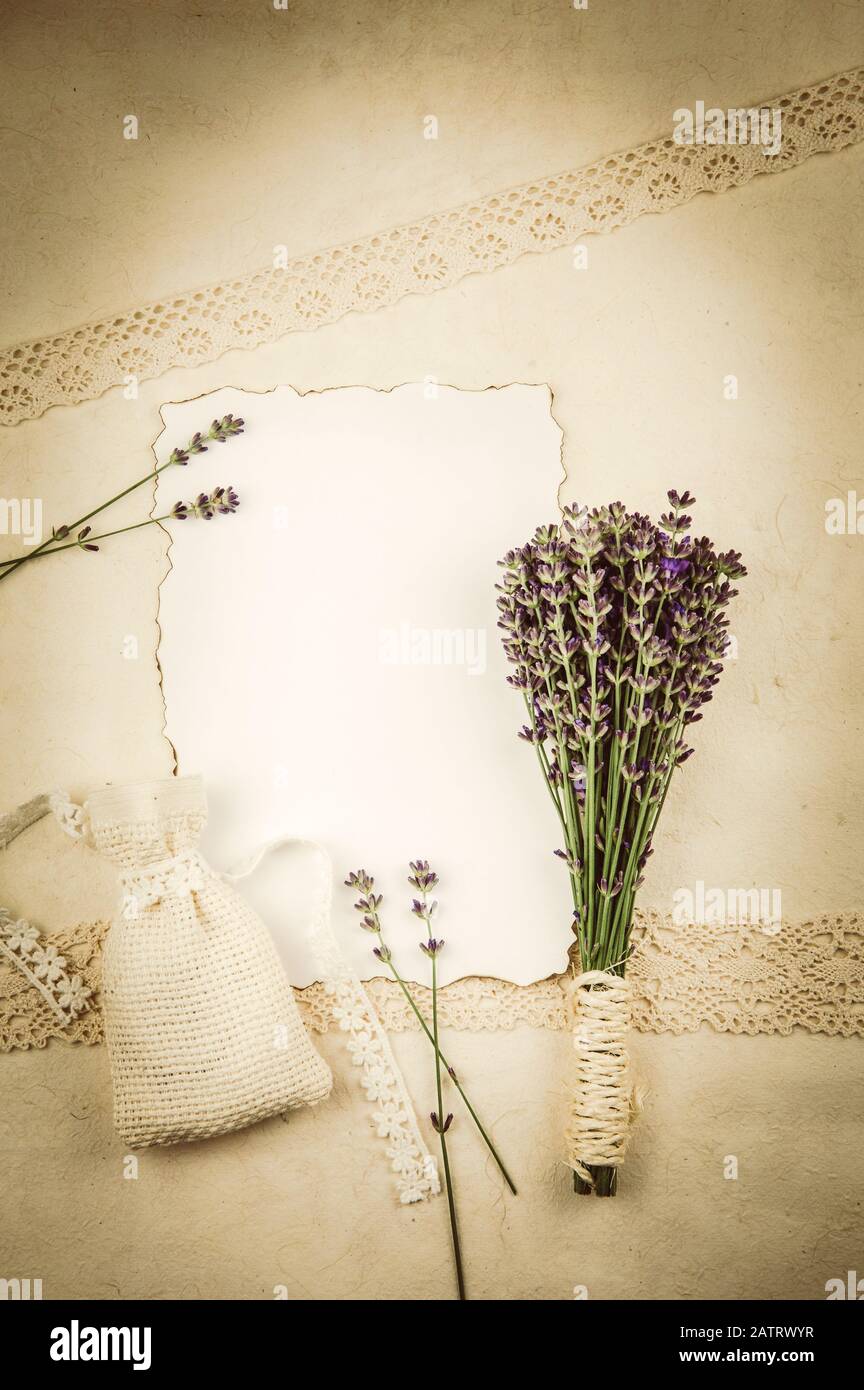 Draufsicht auf weißes leeres Blatt Papier mit verbrannten Kanten und umgeben von frischen Lavendelästen und duftendem trockenem Lavendelbeutelbeutel auf der alten Seite. Stockfoto