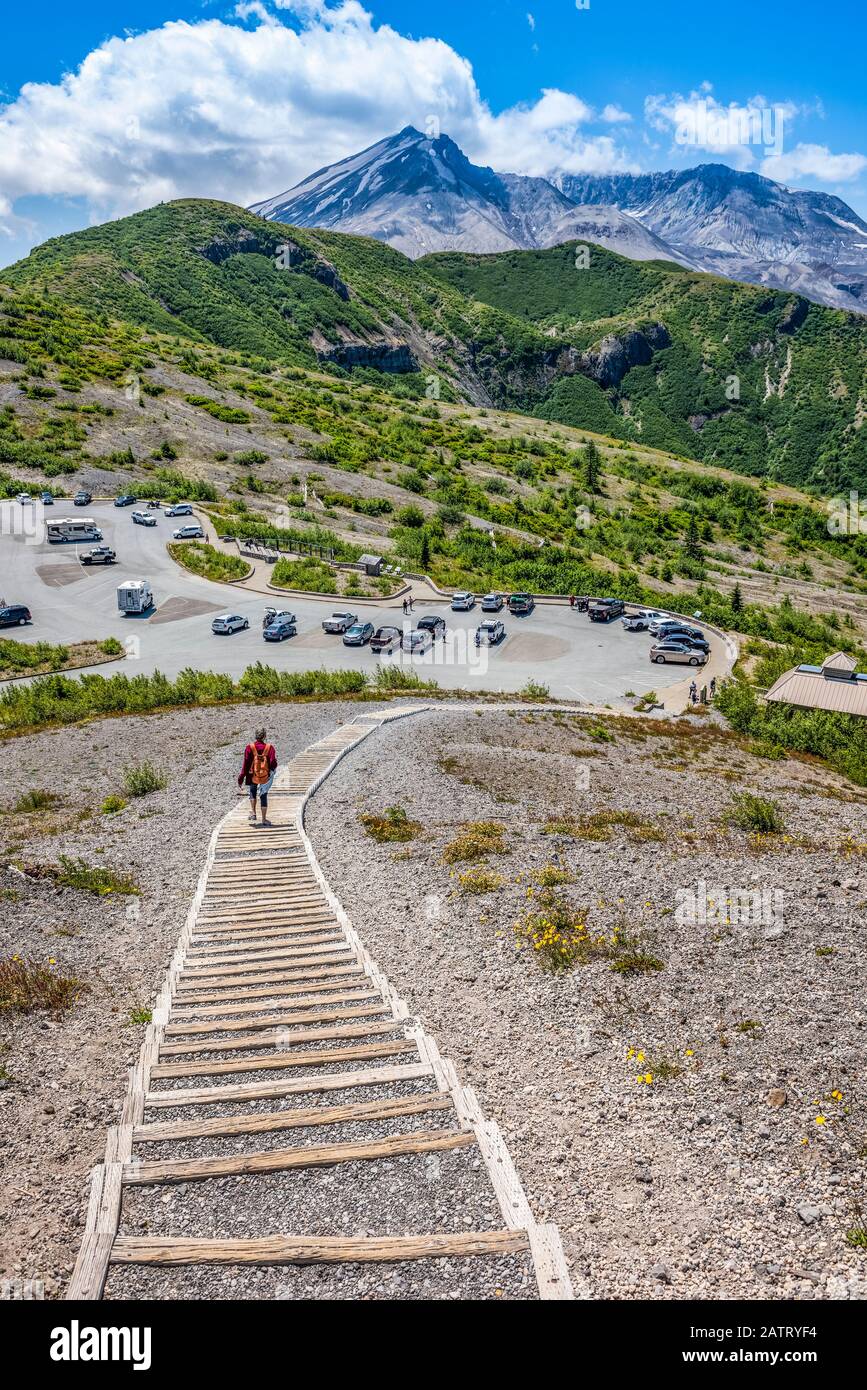 Treppen vom Parkplatz Windy Ridge Trailhead, im Hintergrund der Mount Saint Helens Caldera Stockfoto
