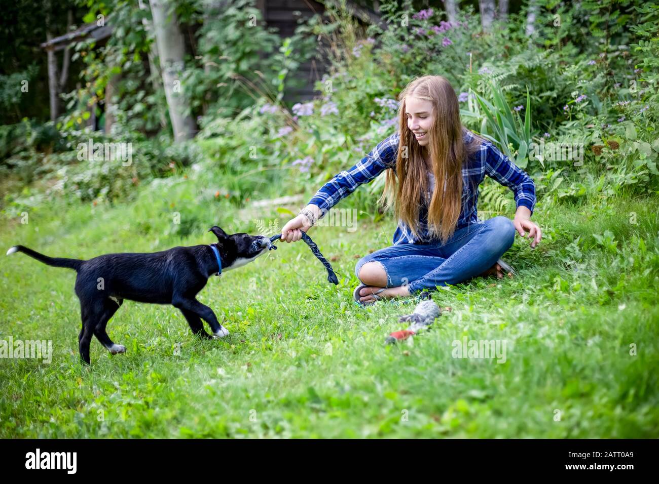 Mädchen spielt mit ihrem Hund; Lachsarm, British Columbia, Kanada Stockfoto