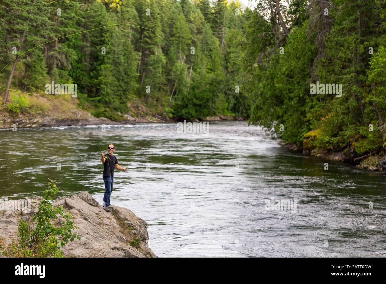 Ein Mann Fliegenfischen auf Adams River, in der Nähe von Salmon Arm; British Columbia, Kanada Stockfoto