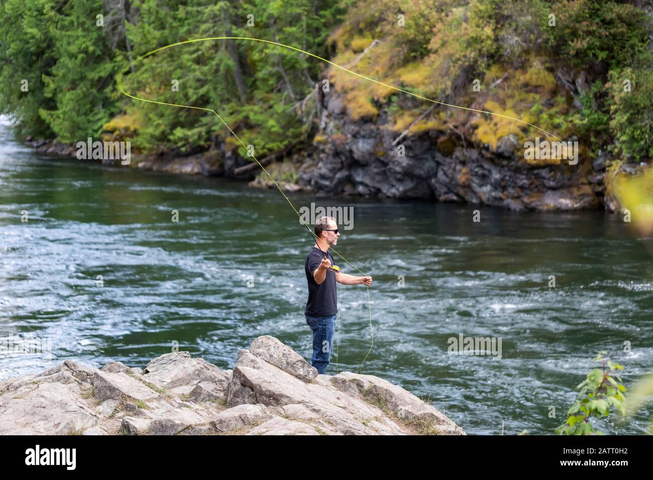 Ein Mann Fliegenfischen auf Adams River, in der Nähe von Salmon Arm; British Columbia, Kanada Stockfoto