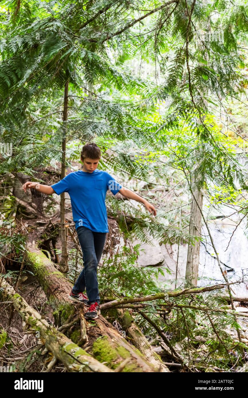 Ein Teenager balanciert beim Gehen auf einem Baumstamm in einem Wald; Lachsarm, British Columbia, Kanada Stockfoto
