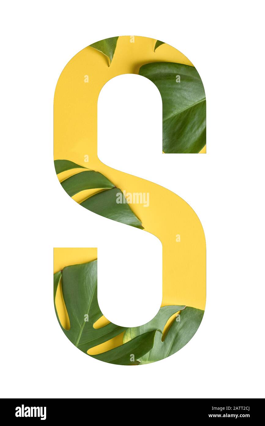 Blumenschrift Alphabet S aus Echten lebendigen Blumen monstera auf gelbem Hintergrund mit Papier geschnitten Form des Briefes. Sammlung von Flora-Schrift für Ihre Uniq Stockfoto