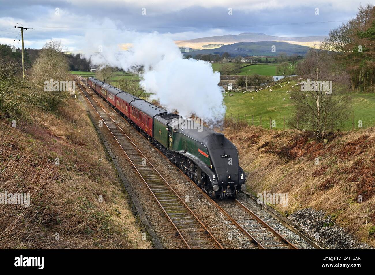 Dampflok-Gewerkschaft der A4-Klasse von Südafrika auf einem Testlauf von Carnforth aus, hier auf dem Giggleswick-Gipfel in der Nähe Von Settle, North Yorkshire. Stockfoto