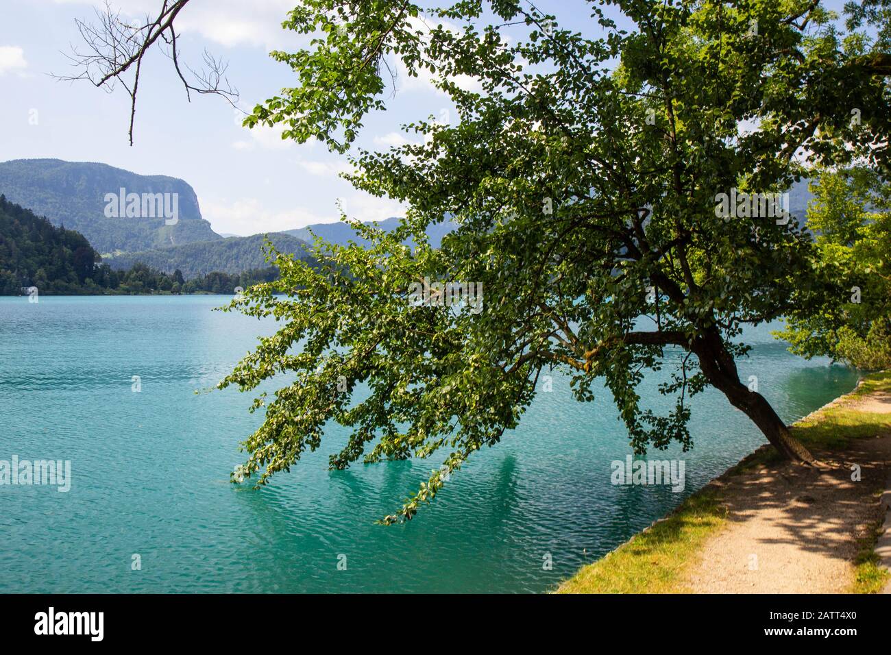 Blick auf den berühmten See Bled in Slowenien Stockfoto