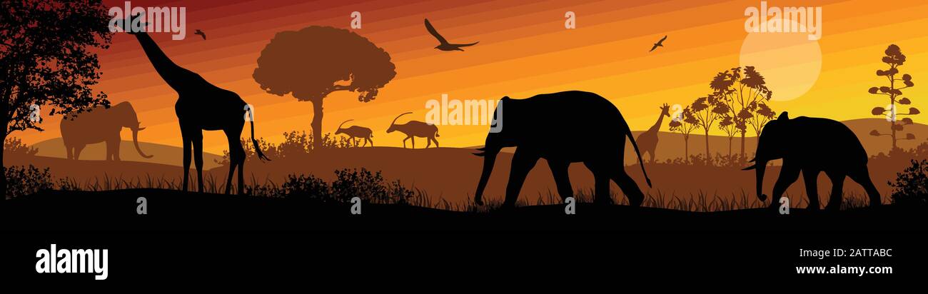 Afrikanische Safari-Silhouette-Landschaft bei schönem Sonnenuntergang, Vektorgrafiken Stock Vektor