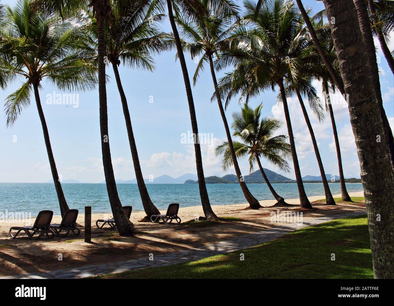 Der malerische Blick vom Palmenhain am südlichen Ende des Hauptstrands von Palm Cove an einem schönen und sonnigen Sommertag Stockfoto