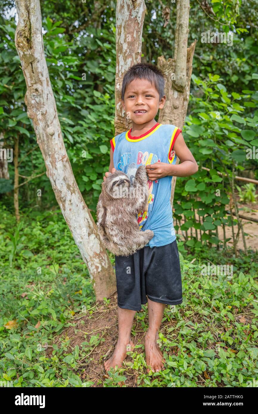 Kleiner Junge mit seinem "Haustier"-Braunfaultier, Bradypus variegatus, San Francisco Village, Loreto, Peru, Südamerika Stockfoto