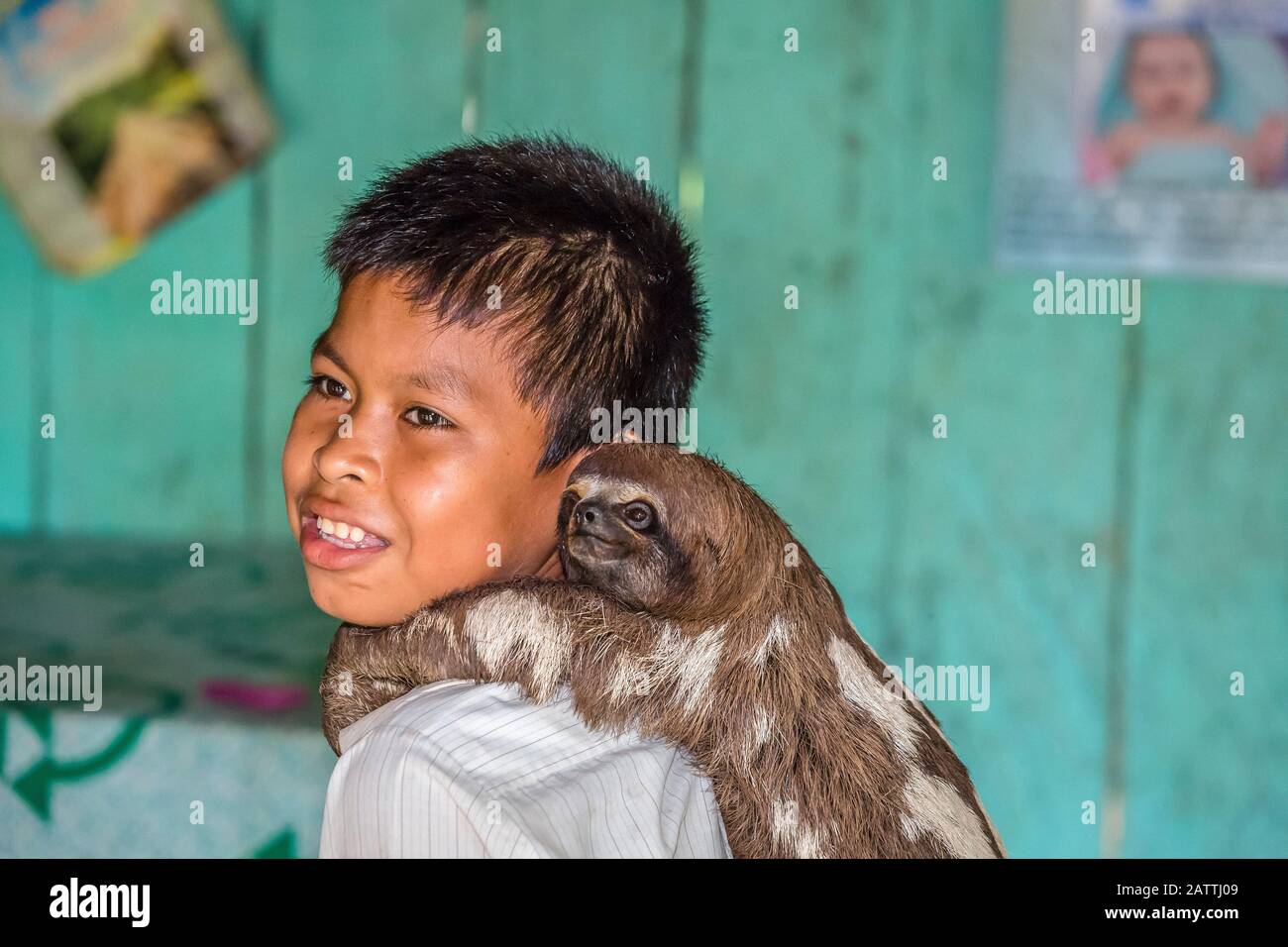 Kleiner Junge mit seinem "Haustier"-Braunfaultier, Bradypus variegatus, San Francisco Village, Loreto, Peru, Südamerika Stockfoto