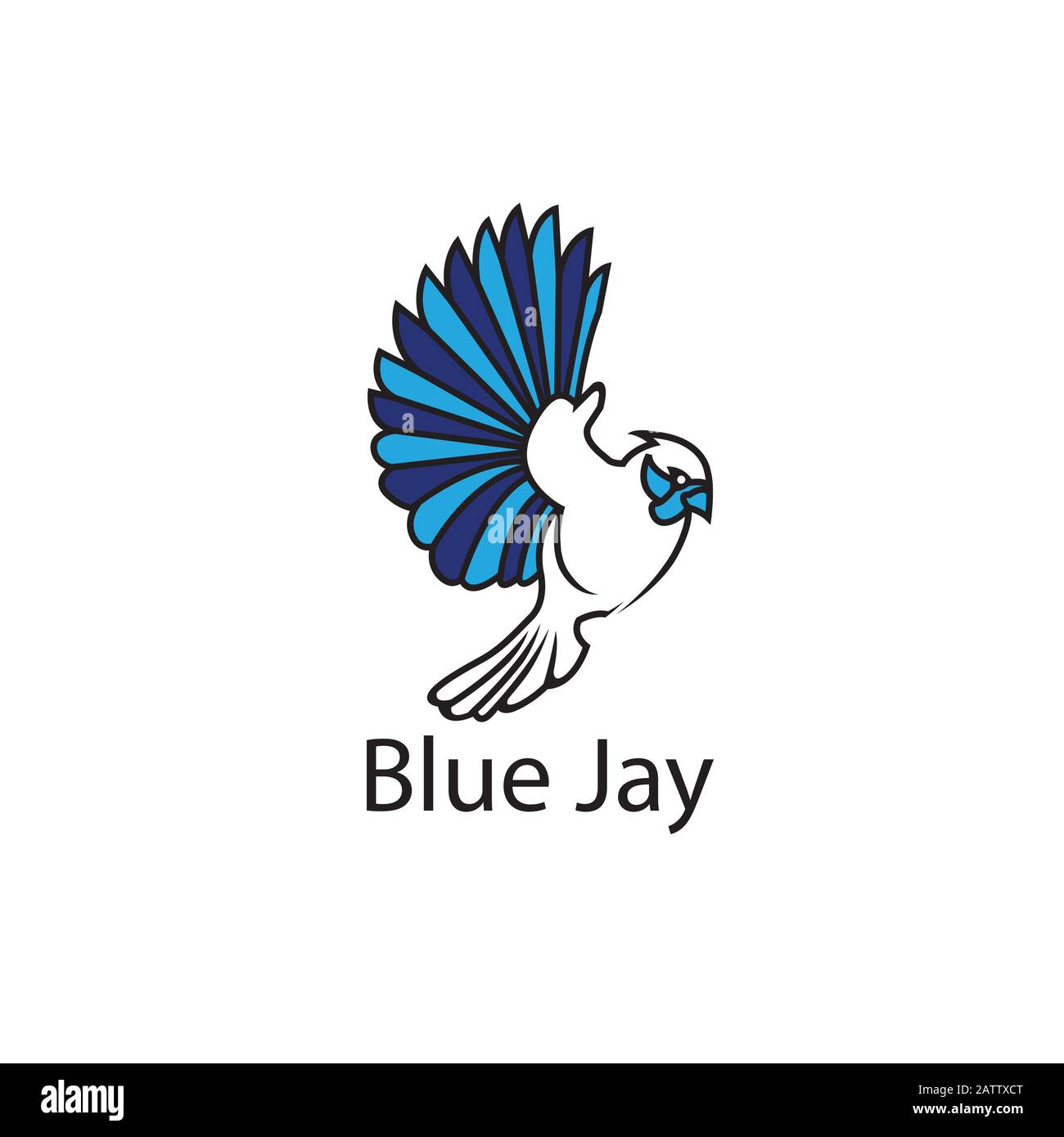 Naturvogel-Logo-Illustration, Naturvogel-Logo, Tierrettungsstiftung, fliegendes Vogel-Logo, Strichart-Vogelsymbol, Tier-Vogelzeichen, Freivogel-Symbol, V Stock Vektor