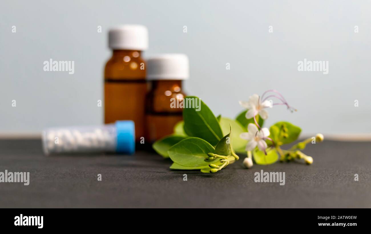 Alternative Medikamente - Homöopathische Zuckerglobullen und Flaschen mit Flüssigsubstanz mit grünen Blättern und weißer Blume Stockfoto