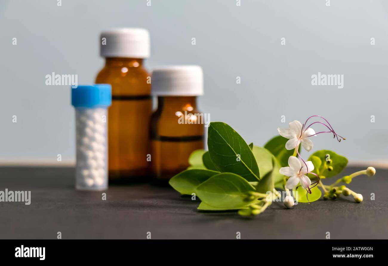 Homöopathisches Medizinkonzept - Heilkräuter, Globuspillen und flüssige Homöopathika Hintergrund mit Blättern und Blume Stockfoto