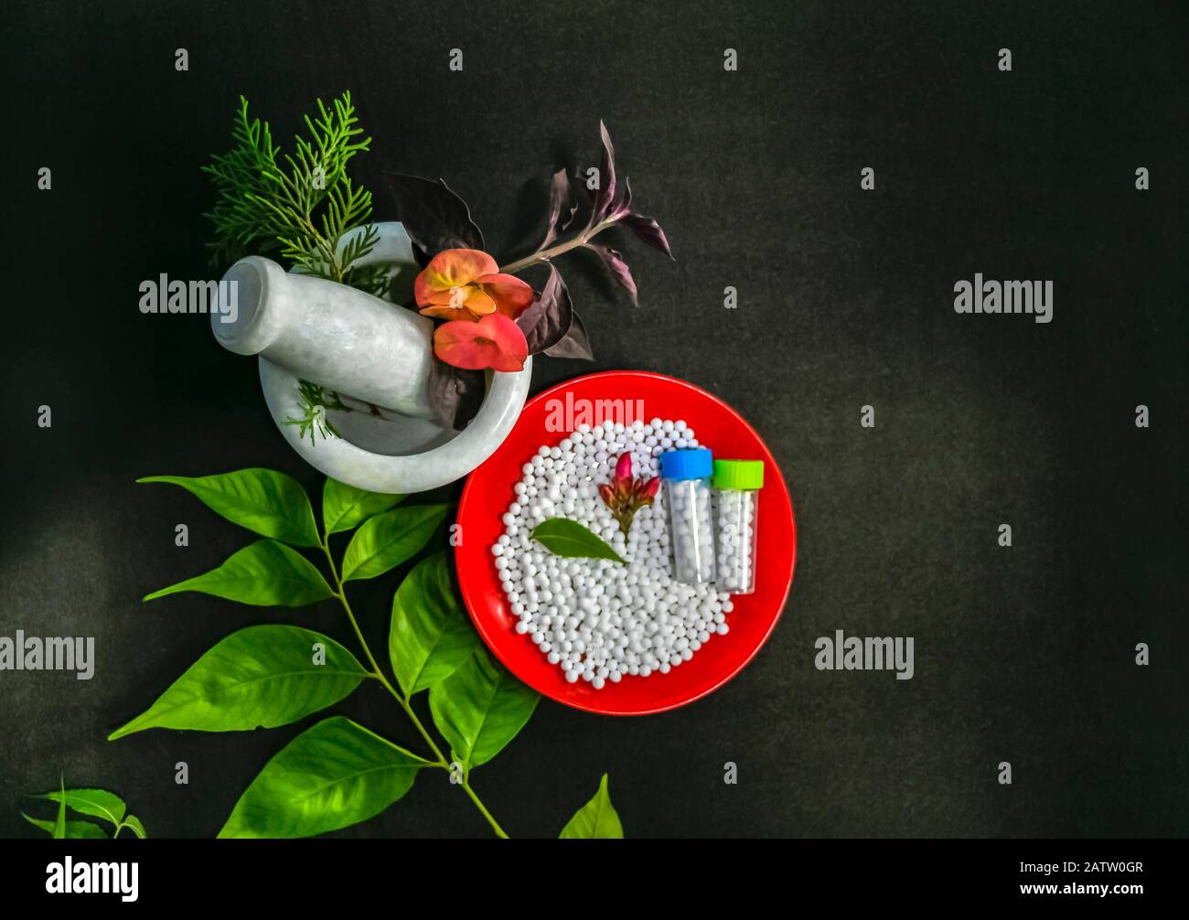 Homöopathisches Medizinkonzept - Draufsicht über Verstreute Homöopathische Zuckerpillen in einer roten Platte mit grünem Urlaub, Blume und Flaschen mit Globules. Heilung Stockfoto