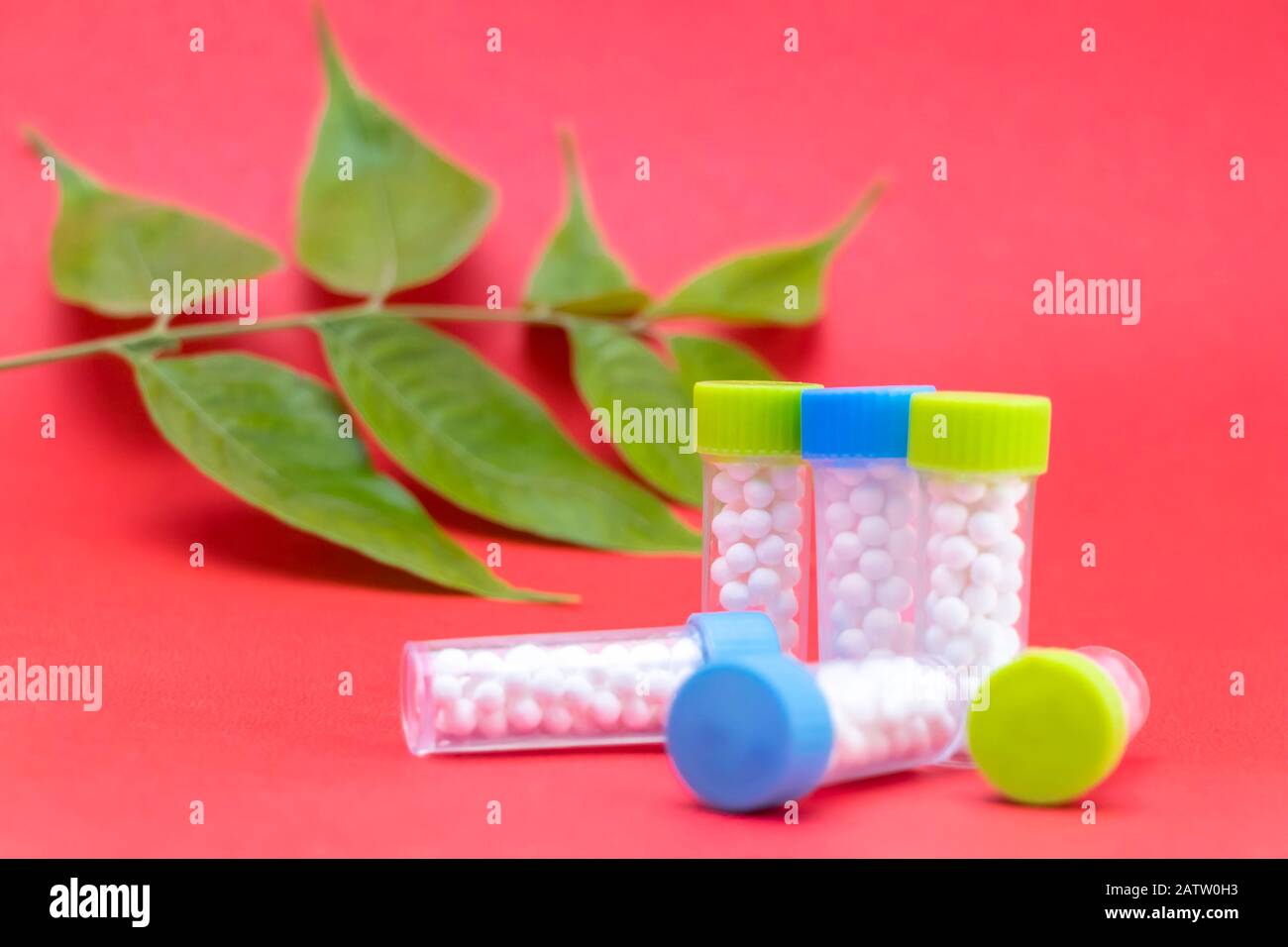 Homöopathie-Konzept - Homöopathische Laktose-Zuckerglobullen in Flaschen auf pinkfarbenem Hintergrund mit grünem Blatt Stockfoto